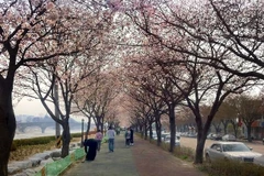 Đơn giản hóa thủ tục cho du khách "VIP" Việt Nam tới Hàn Quốc 