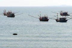 (Ảnh minh họa: Trần Tĩnh/TTXVN)