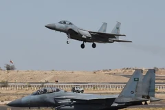 Máy bay tiêm kích F-15 của Nhật Bản. (Nguồn: AFP/TTXVN)