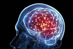 Ảnh minh họa. (Nguồn: Getty Images/nbcnews)