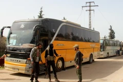 Xe buýt chở các tay súng đối lập từ thị trấn Fuaa và Kafraya, tới trạm trung chuyển Rashidin, ngoại ô thành phố Aleppo do Chính phủ kiểm soát ngày 21/4. (Nguồn: AFP/TTXVN)