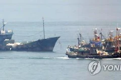 Tàu cá Trung Quốc tại khu vực gần đảo Yeonpyeong hôm 9/6. (Nguồn: Yonhap)