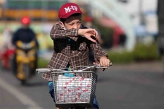 Ảnh chỉ có tính minh họa. (Ảnh: Thanh Tùng/TTXVN)