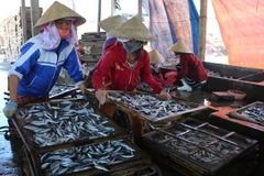 Ảnh chỉ có tính minh họa. (Ảnh: Hồ Cầu/TTXVN)