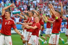 Các cầu thủ đội Hungary ăn mừng sau trận hòa Bồ Đào Nha 3-3. (Nguồn: EPA/TTXVN)