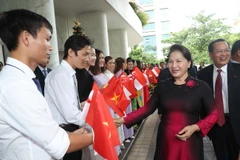 Cộng đồng người Việt tại Singapore đón Chủ tịch Quốc hội Nguyễn Thị Kim Ngân, tại Sân bay Quốc tế Changi, ngày 26/11 vừa qua. (Ảnh: Trọng Đức/TTXVN)