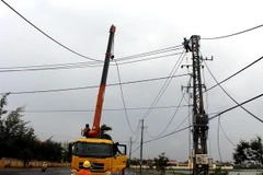 Công nhân điện lực khẩn trương khôi phục lại mạng lưới điện. (Ảnh: Thế Lập/TTXVN)