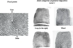 Italy-Mỹ chia sẻ dữ liệu vân tay nhằm phát hiện các phần tử cực đoan