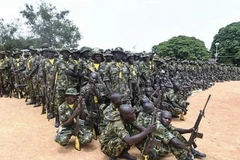 Binh sỹ Nigeria. (Ảnh: Daily Nation/TTXVN)