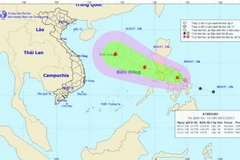 Chùm ảnh đường đi và vị trí cơn bão. (Nguồn: nchmf.gov.vn)