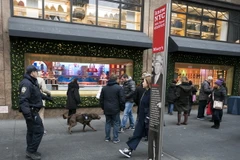 Cảnh sát tuần tra quanh khu vực quảng trường Herald ở New York ngày 12/12. (Ảnh: AFP/TTXVN)