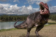 (Nguồn: dailymail)