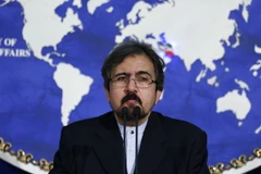 Người phát ngôn Bộ Ngoại giao Iran Bahram Qassem. (Ảnh: AFP/TTXVN)