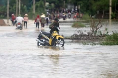 Đường vào xã Sơn Thành, Bảo Thành, huyện Yên Thành, tỉnh Nghệ An, đi từ đường N5 bị ngập sâu, ảnh hưởng tới việc đi lại của người dân. (Ảnh: Thanh Tùng/TTXVN)