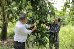 Đảng bộ xã Tịnh Thới, thành phố Cao Lãnh (Đồng Tháp) thường xuyên cử cán bộ, đảng viên xuống cơ sở thăm hỏi, động viên người nghèo vay vốn, phát triển kinh tế gia đình. (Ảnh: Vietnam+)