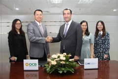 Lãnh đạo hai bên tham gia ký kết. (Ảnh: CTV/Vietnam+)