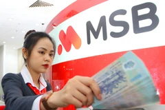 Ảnh minh họa. (Nguồn: CTV/Vietnam+)