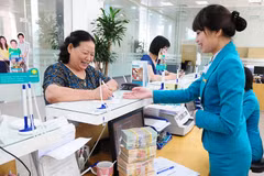 Giao dịch tại ngân hàng. (Ảnh: CTV/Vietnam+)