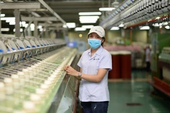 Ảnh minh họa. (Ảnh: Đức Duy/Vietnam+)