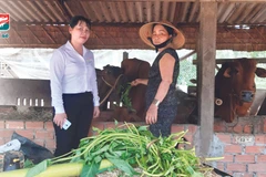 Khách hàng của Kienlongbank bị ảnh hưởng do tác động của dịch COVID-19. (Ảnh: CTV/Vietnam+)