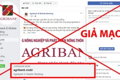 Đây là trang đối tượng làm giả mạo Agribank để lừa khách hàng. (Ảnh: CTV)