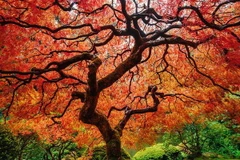 Thiên nhiên biến đổi tuyệt đẹp vào mùa Thu