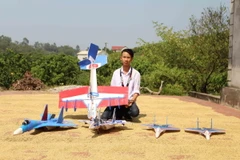 Bộ sưu tập các mô hình máy bay của Ưng Sĩ Sơn. (Ảnh: Tùng Lâm/TTXVN) 