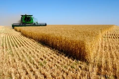 Ảnh minh họa. (Nguồn: Russia Insider)