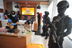 Ảnh minh họa. (Nguồn: THX/TTXVN)