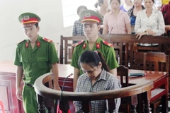 Ảnh minh họa. (Nguồn: TTXVN)