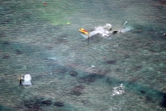 Mảnh vỡ của máy bay MV-22 Osprey gặp nạn trên vùng biển ngoài khơi Nago, Okinawa ngày 14/12. (Nguồn: AP/TTXVN)