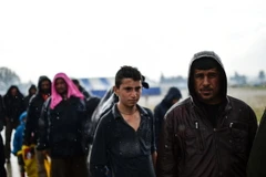 Ảnh minh họa. (Nguồn: AFP/TTXVN)