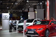 Ảnh minh họa. (Nguồn: TTXVN)