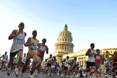 Ảnh minh họa. (Nguồn: Getty Images)