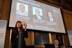 Hội đồng công bố giải thưởng Nobel hóa học 2016. (Nguồn: channelnewsasia.com)