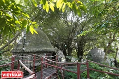 Khu nghỉ dưỡng Cosy Tree House.