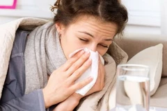 Ảnh minh họa. (Nguồn: Island Connections)