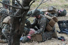 Ảnh minh họa. (Nguồn: THX/TTXVN)