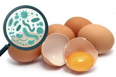 Nhiễm khuẩn là nguyên nhân chính gây ngộ độc thực phẩm sau tiệc Trung Thu tại chung cư Palm Heights, thành phố Thủ Đức. (Nguồn: Sở Y tế Thành phố Hồ Chí Minh)