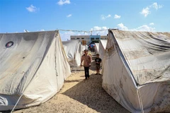 Khu trại tạm dành cho người dân phải rời bỏ nhà cửa do xung đột tại Khan Younis, Dải Gaza. (Ảnh: THX/TTXVN)