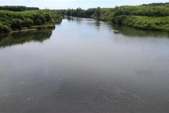 Nước sông Sa Lung có màu xanh đen, nổi váng và hôi thối. (Ảnh: Nguyên Lý/TTXVN)