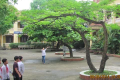 Vụ sa thải giáo viên ở Bắc Ninh: Cú sốc với các nhà trường 