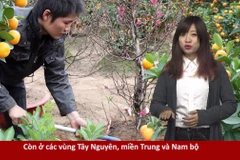 RapNews 30: Ngân hàng "0 đồng" và chai nước ngọt nửa tỷ