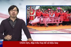 RapNews 31: Chuyện lễ hội với Giáo sư Xoay, lý tình vụ Trang Trần 