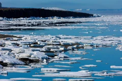 Những tảng băng trôi ở Baffin Bay, đảo Greenland. (Ảnh: AFP/TTXVN)