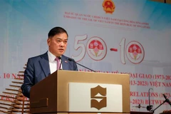 Đại sứ Việt Nam tại Singapore Mai Phước Dũng. (Ảnh: Lê Dương/TTXVN)