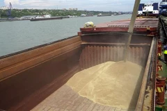 Lúa mỳ được chuyển lên tàu tại cảng quốc tế Rostov-on-Don để vận chuyển tới Thổ Nhĩ Kỳ. (Ảnh: AFP/TTXVN)