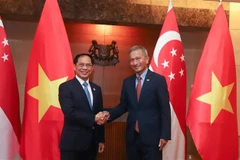 Bộ trưởng Ngoại giao Việt Nam Bùi Thanh Sơn và Bộ trưởng Ngoại giao Singapore Vivian Balakrishnan. (Ảnh: TTXVN phát)
