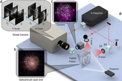 Ảnh chỉ có tính minh họa. (Nguồn: Nature)
