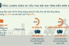 Tổng lượng xăng E5 tiêu thụ nội địa tăng đầu năm 2018. (Nguồn: Vietnam+)